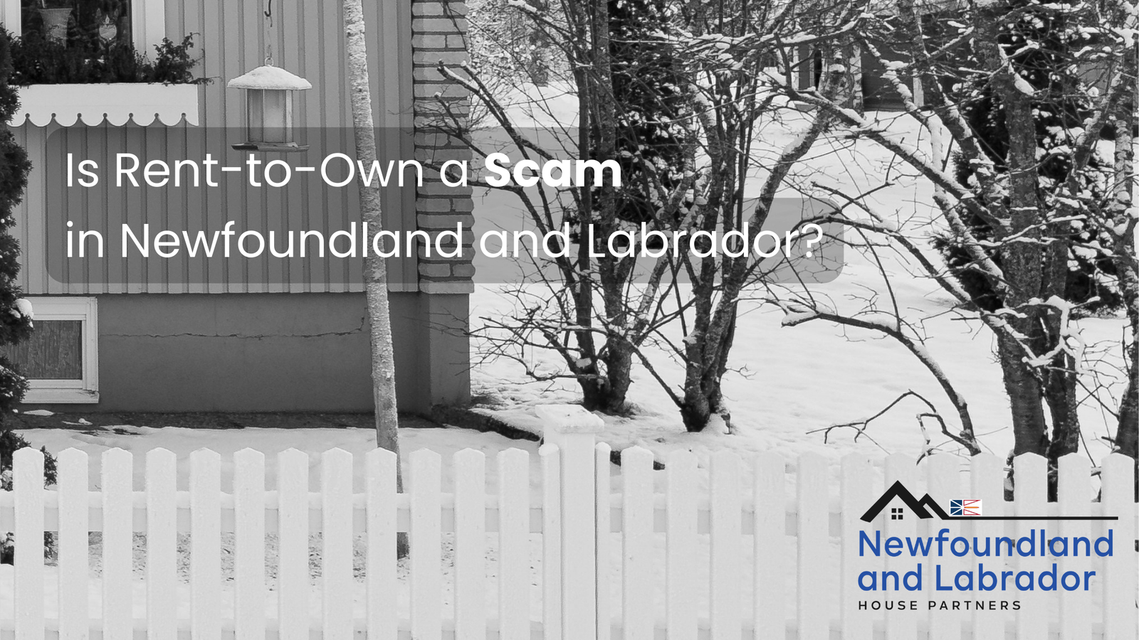 Is Rent-to-Own a Scam in Newfoundland