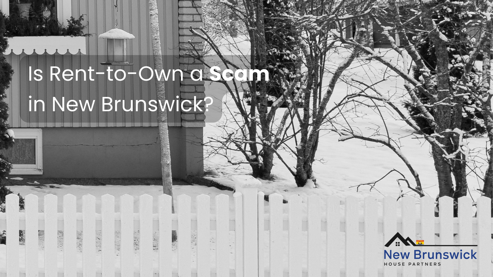 Is Rent-to-Own a Scam in New Brunswick